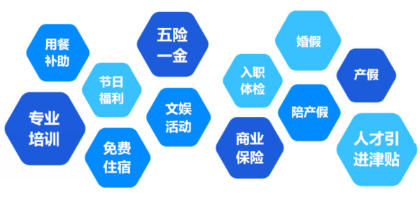 提供全面、系統(tǒng)、專業(yè)的培訓(xùn)和廣闊的<br>職業(yè)發(fā)展空間和提升機(jī)會